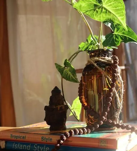Nest 2 - Eco Boutique Villa